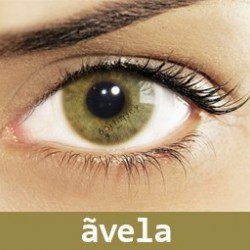 عدسات سوليتيكا هيدروكور  ( Avela )