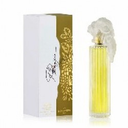 عطر كازانوفا بلازير اي دي بيرفيوم للنساء – 100 مل